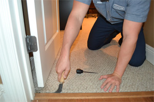 carpet repairs Carpet Stretching & Repairs