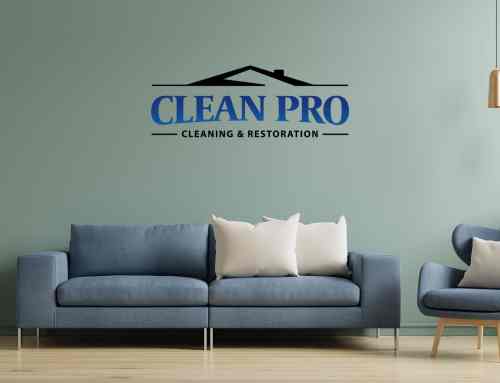 The Importance of Professional Furniture and Upholstery Cleaning