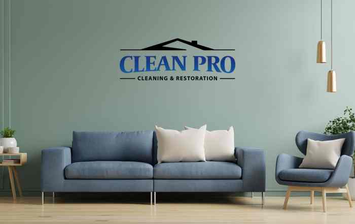 The Importance of Professional Furniture and Upholstery Cleaning