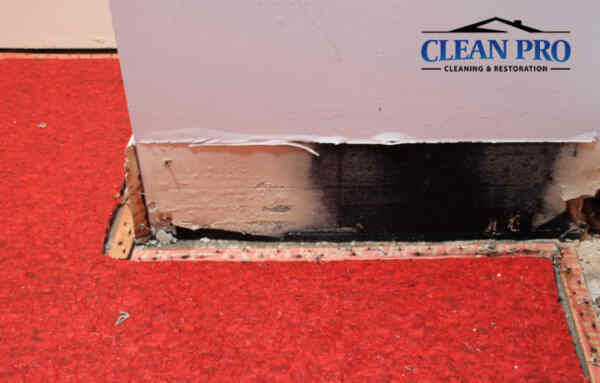 Basics of water damage restoration