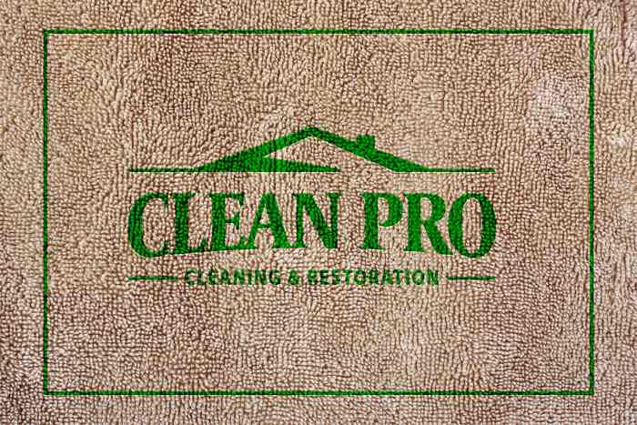 Transform Your Home with Clean Pro Carpet and Restoration