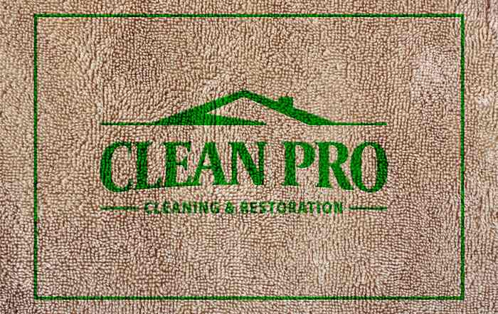 Clean Pro Carpet Repair and Stretching