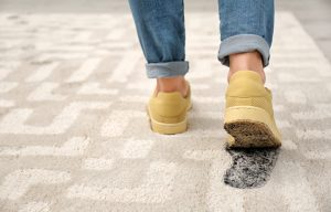 Carpet, Keep Dirt Outside, Healthy Home