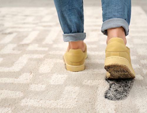 Carpet Protection Tips