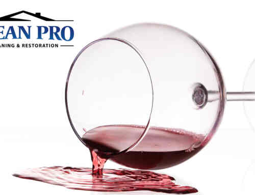 Red Wine Spill on Your Carpet?
