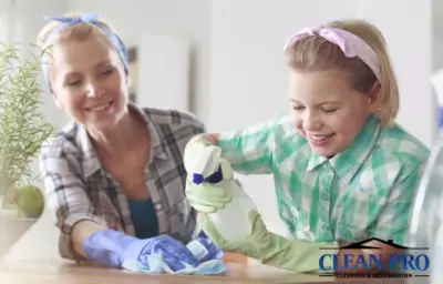 Spring Cleaning Clean Pro Cleaning & Restoration