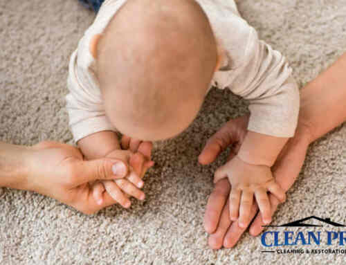 Carpet Cleaning – Stain Resistant Carpet