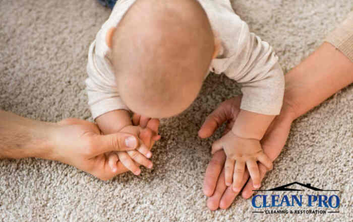 Stain Resistant Carpet