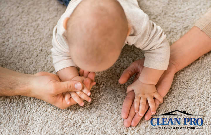 Stain Resistant Carpet