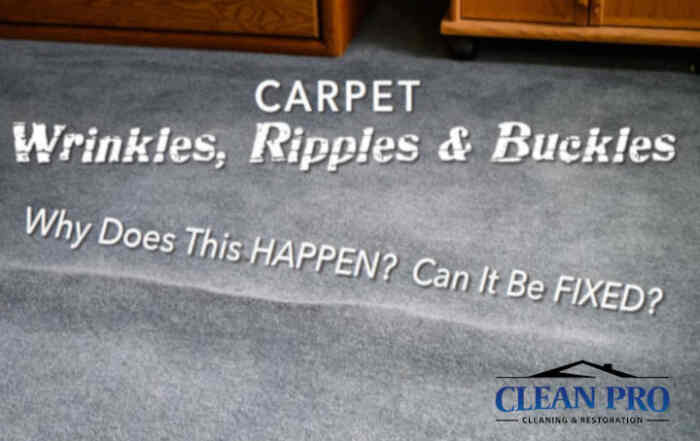 carpet wrinkles - Clean Pro Image of Wrinkle Carpet