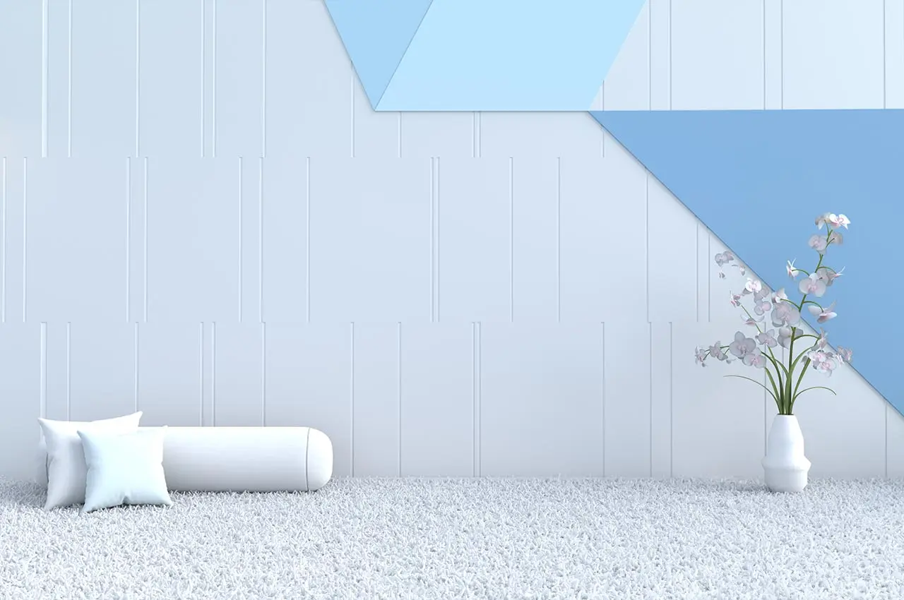 Carpet Cleaning and Repair